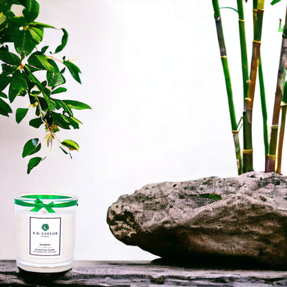 Bamboo